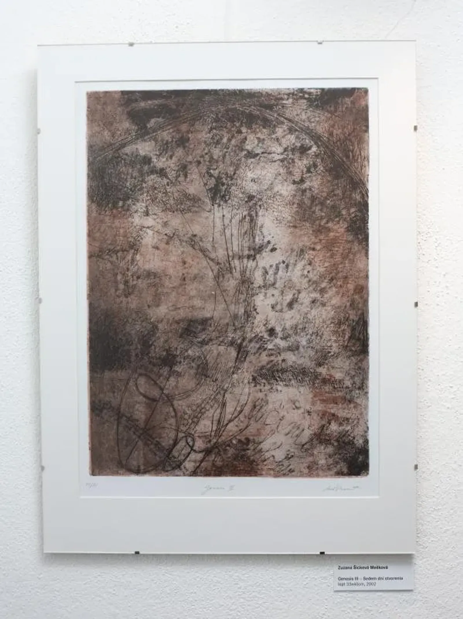 Šicková, Czinege - 21